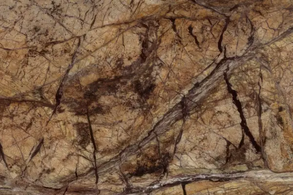 image 2024 06 14 144452051 600x400 - Rainforest brown marmura