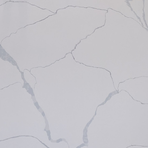 Callacata polar