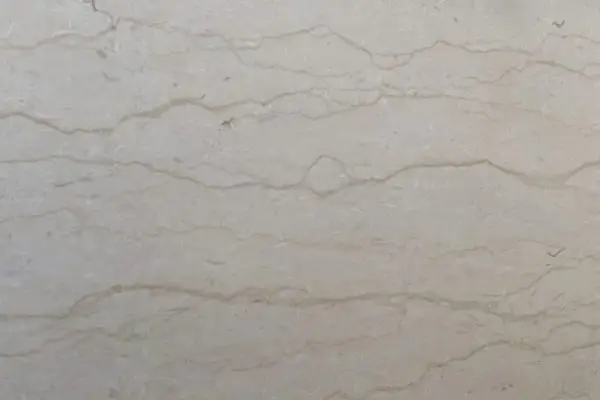 silvia gigapixel hq scale 2 00x 600x400 Calcar
