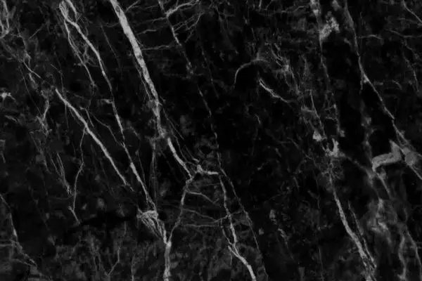 Resized alexander black closeup 002 1024x611.jpg 001 600x400 - Alexander black marmura