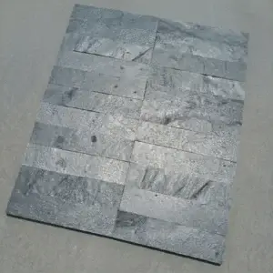 Ardezie Silver Grey natural 30 x 7 x 1 cm